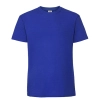 Koszulka męska Fruit of the Loom Iconic 195 Ringspun T — zdjęcie 8